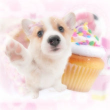 Load image into Gallery viewer, Custom Center Remake Puppy Theme